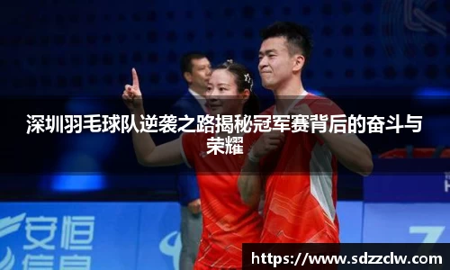 深圳羽毛球队逆袭之路揭秘冠军赛背后的奋斗与荣耀